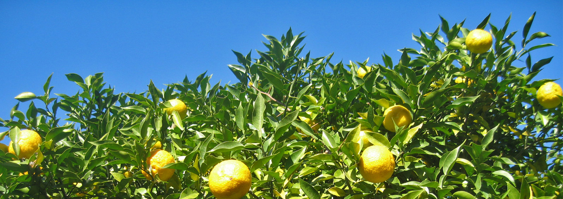 cbjy_02 cbjy_02