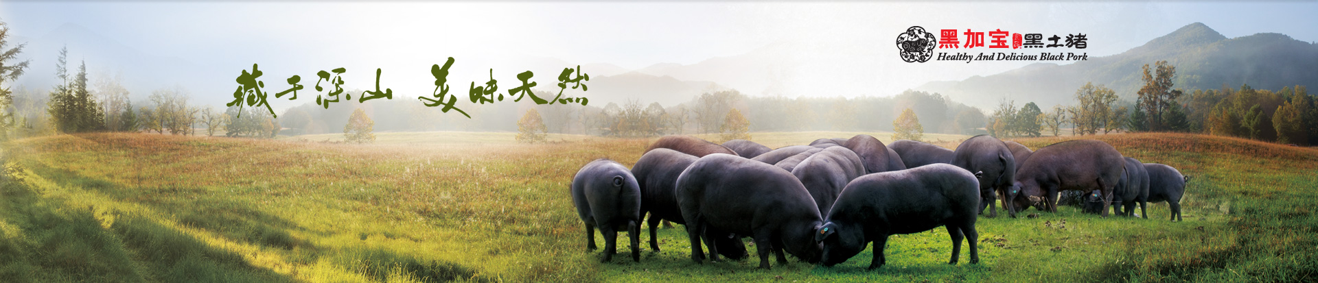 heizhu heizhu