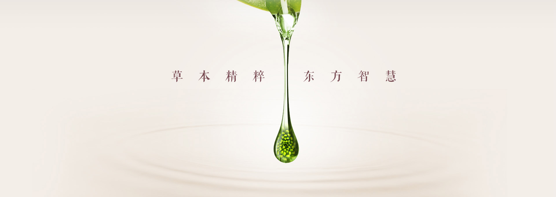 ldbc_02